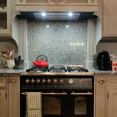 Ley * يلينيا غورا